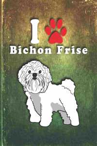 Bichon Frise