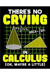 There's No Crying In Calculus (OK, Maybe A Little)