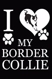 I Love My border collie