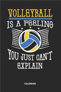 Volleyball Is A Feeling You Just Can't Explain Calendar