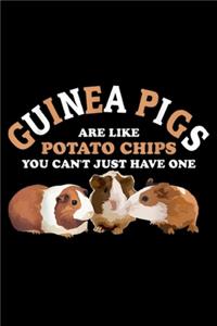 Guinea Pigs Are Like Potato Chips you can't just have one