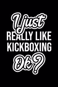 I Just Really Like Kickboxing Ok?