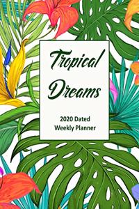 Tropical Dreams
