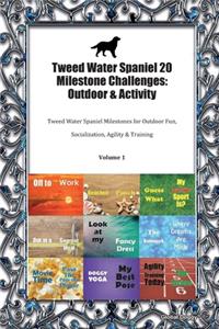 Tweed Water Spaniel 20 Milestone Challenges