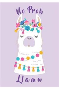 No Prob Llama Notebook