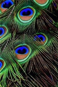 Proud Peacock Feathers On Display Notebook