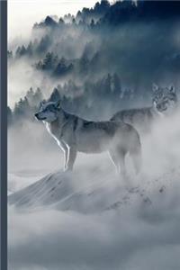Winter Wonderland - Two Wolves in a Snow Filled Forest