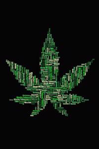 Medical Cannabis Journal
