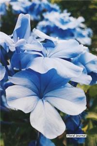 Floral Journal - Blue Spring - (Unruled)