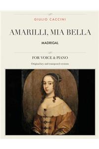 Amarilli, mia bella