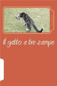 Il gatto a tre zampe