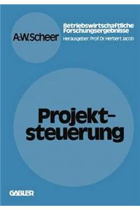 Projektsteuerung