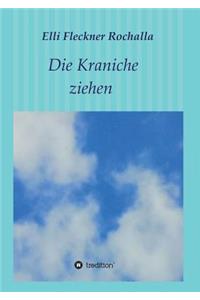 Kraniche ziehen