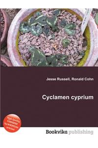 Cyclamen Cyprium