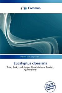 Eucalyptus Cloeziana