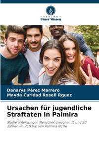 Ursachen für jugendliche Straftaten in Palmira