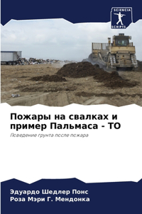 Пожары на свалках и пример Пальмаса - ТО
