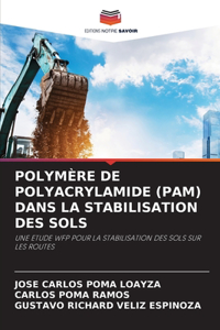 Polymère de Polyacrylamide (Pam) Dans La Stabilisation Des Sols