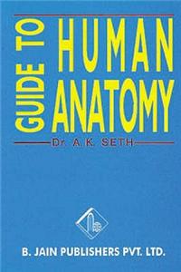 A Guide to Human Anatomy