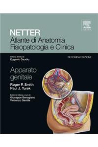 Atlante Di Anatomia Fisiopatologia E Clinica: Apparato Genitale