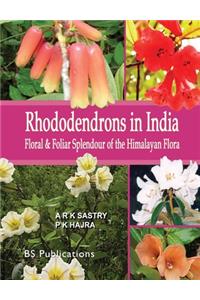 Rhododendrons in India