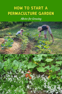 How to Start a Permaculture Garden