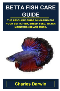 Betta Fish Care Guide