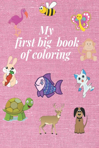 My first big book of coloring
