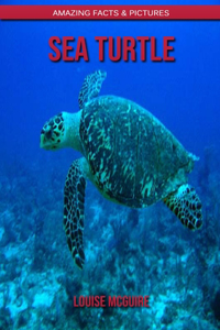 Sea turtle