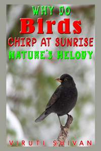 Why Do Birds Chirp at Sunrise
