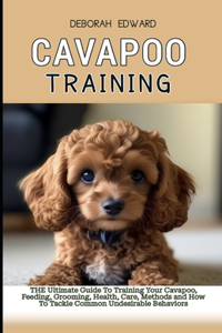 Cavapoo Training