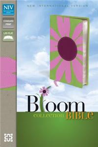 Bloom Collection-NIV-Daisy