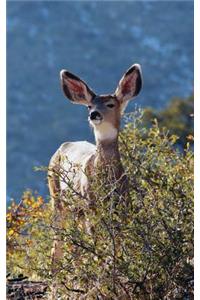 Kids Deer Journal