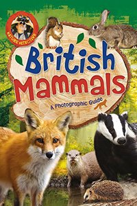 Nature Detective: British Mammals