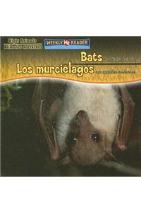 Bats Are Night Animals / Los Murciélagos Son Animales Nocturnos