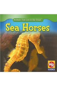 Sea Horses