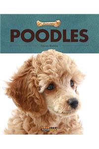 Poodles