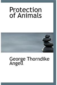 Protection of Animals