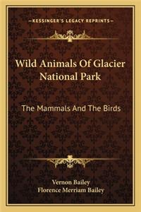 Wild Animals of Glacier National Park