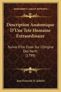 Description Anatomique D'Une Tete Humaine Extraordinaire