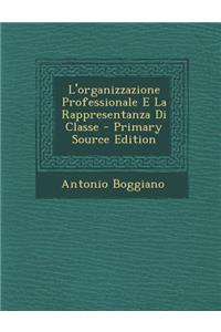 L'Organizzazione Professionale E La Rappresentanza Di Classe