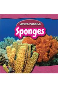 Sponges