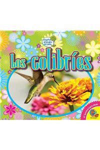 Colibríes