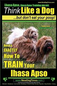 Lhasa Apso, Lhasa Apso Training AAA AKC