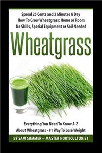 Spend 25 Cents and 2 Minutes A Day How To Grow Wheatgrass