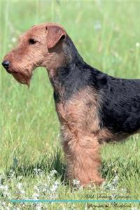 Welsh Terrier Affirmations Workbook Welsh Terrier Presents
