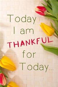 Thankfulness Journal