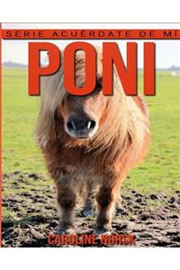 Poni