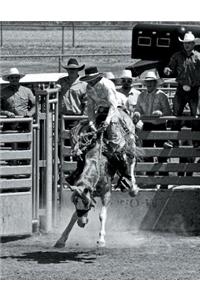 Saddle Broncs: Just for the Helluvit