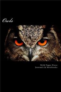 Owls (Journal / Notebook)